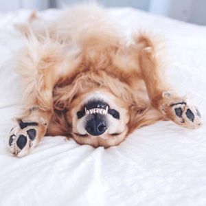 Meet your Posher, Katy